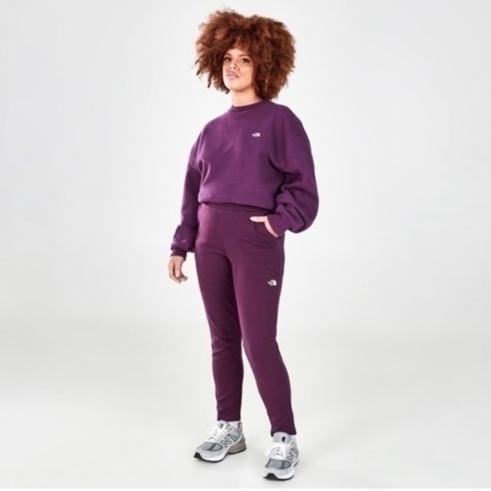 NWT. THE NORTH FACE Women’s City Standard Sweatpants